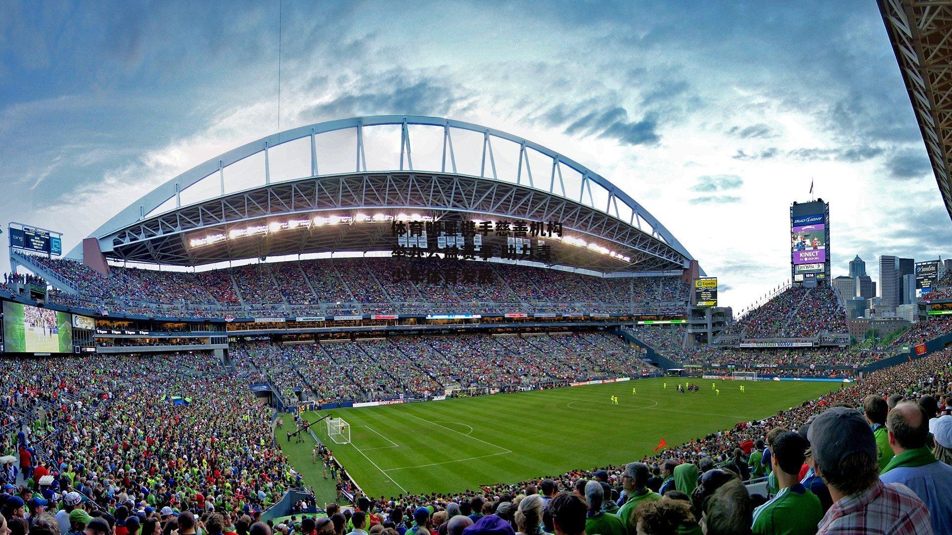 体育明星携手慈善机构举办公益赛事 助力青少年体育发展